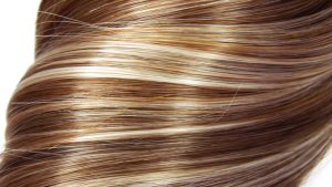 highlights